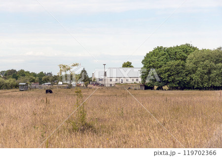 Summer drought. Dry grass. Summer without rain. Summer drought. Dry grass. Summer without rain. 119702366