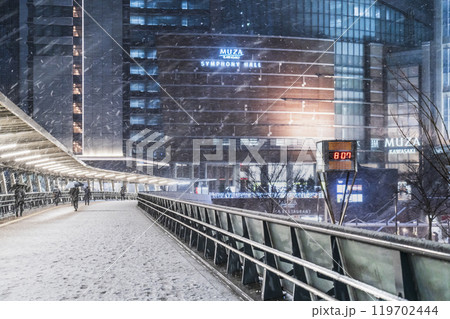 冬の川崎市の都市夜景 雪が降る川崎駅西口の風景【神奈川県】 冬の川崎市の都市夜景 雪が降る川崎駅西口の風景【神奈川県】 119702444
