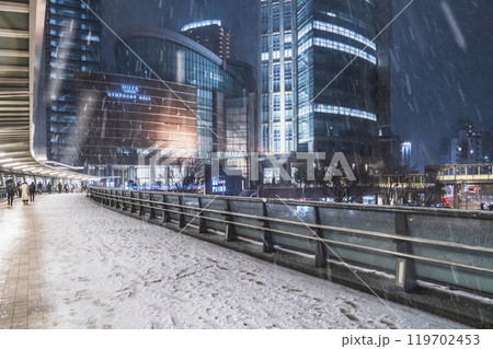 冬の川崎市の都市夜景　雪降る川崎駅西口の風景【神奈川県】 119702453