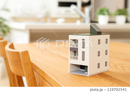 リビングダイニングキッチンに置かれた住宅模型 リビングダイニングキッチンに置かれた住宅模型 119702541