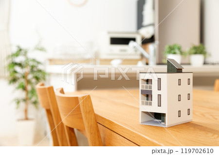 リビングダイニングキッチンに置かれた住宅模型 リビングダイニングキッチンに置かれた住宅模型 119702610