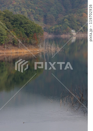初秋の徳山ダム 初秋の徳山ダム 119702916