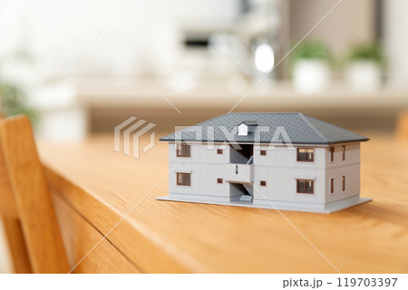 マンションのリビングダイニングキッチンに置かれた住宅模型 119703397