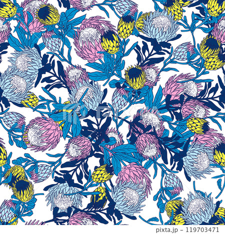 Seamless pattern with protea flowers on white background 119703471