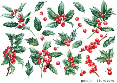 Vibrant watercolor Christmas decoration set with classic holly, vintage lush winter greenery and red berries isolated 119703579