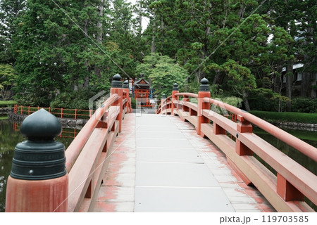 高野山壇上伽藍　善女龍王社 119703585