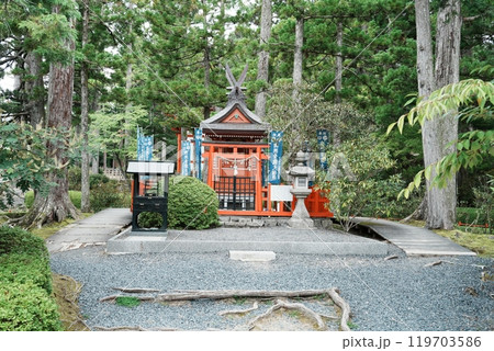 高野山壇上伽藍 善女龍王社 高野山壇上伽藍 善女龍王社 119703586