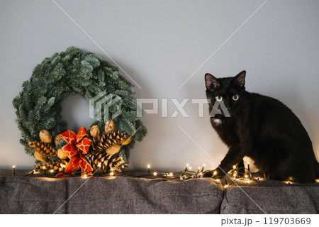 Black cat sniffing Christmas wreath with pinecones and red bow on couch. Pet-safe holiday decor, curious cats, and festive home environment. Most Common Holiday Plants Toxic to Cats 119703669