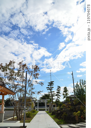 埼玉県行田市下中条 美しい治子神社 埼玉県行田市下中条 美しい治子神社 119704078