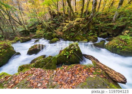 青森県十和田市 紅葉の奥入瀬渓流 青森県十和田市 紅葉の奥入瀬渓流 119704123