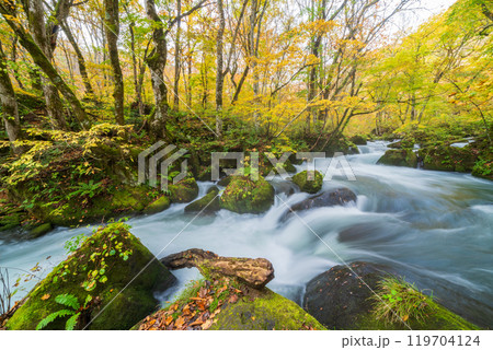 青森県十和田市 紅葉の奥入瀬渓流 青森県十和田市 紅葉の奥入瀬渓流 119704124
