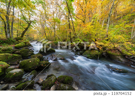 青森県十和田市 紅葉の奥入瀬渓流 青森県十和田市 紅葉の奥入瀬渓流 119704152