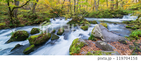青森県十和田市 紅葉の奥入瀬渓流 青森県十和田市 紅葉の奥入瀬渓流 119704158