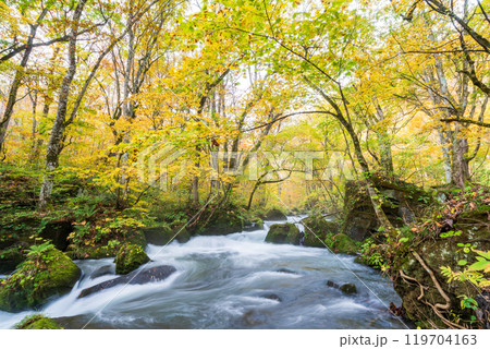 青森県十和田市 紅葉の奥入瀬渓流 青森県十和田市 紅葉の奥入瀬渓流 119704163