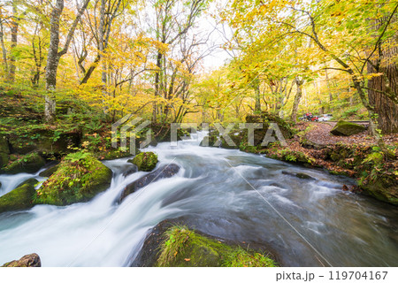 青森県十和田市　紅葉の奥入瀬渓流 119704167