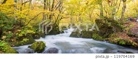 青森県十和田市 紅葉の奥入瀬渓流 青森県十和田市 紅葉の奥入瀬渓流 119704169