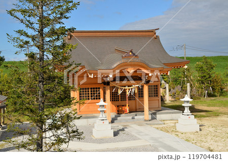 埼玉県行田市下中条 美しい治子神社 埼玉県行田市下中条 美しい治子神社 119704481