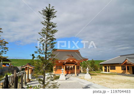 埼玉県行田市下中条　美しい治子神社 119704483