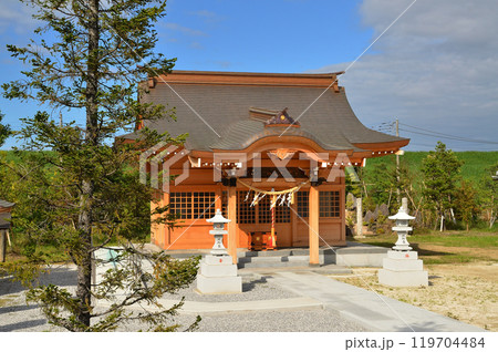 埼玉県行田市下中条 美しい治子神社 埼玉県行田市下中条 美しい治子神社 119704484