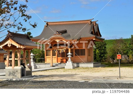 埼玉県行田市下中条　美しい治子神社 119704486