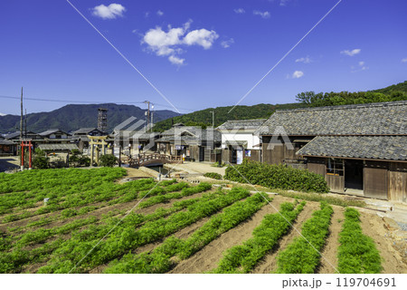小豆島　二十四の瞳映画村　香川県小豆島町 119704691
