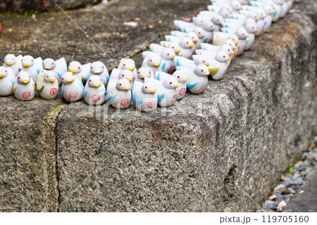 京都　紫雲山頂法寺　六角堂の鳩みくじ（京都市中京区） 119705160