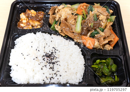おいしい中華弁当、豚肉と野菜の卵炒め弁当 おいしい中華弁当、豚肉と野菜の卵炒め弁当 119705297