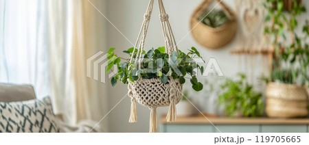 A stylish macrame plant holder with lush green foliage, enhancing the cozy home interior A stylish macrame plant holder with lush green foliage, enhancing the cozy home interior 119705665