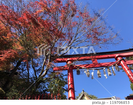 紅葉と赤い鳥居 119706853