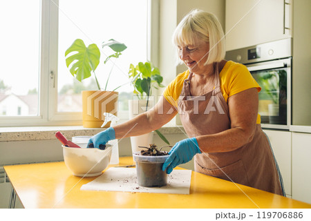 Gardening home. Woman farmer preparing to replant orchid plants by use a shovel to scoop the soil into the pot. Indoor gardening hobbies and jobs indoor plants at home. Gardening home. Woman farmer preparing to replant orchid plants by use a shovel to scoop the soil into the pot. Indoor gardening hobbies and jobs indoor plants at home. 119706886