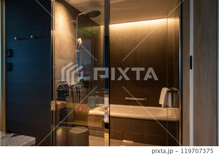 大阪駅西口直結のJPタワー大阪(KITTE大阪)にある、大阪ステーションホテルの綺麗な客室の浴室 119707375