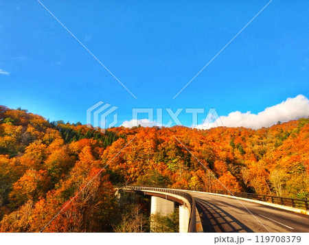 秋晴れの紅葉ドライブ 119708379