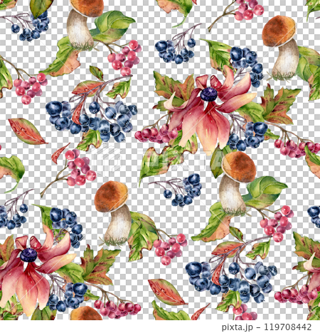 Mushroom with brown orange cap and black chokeberry in watercolor seamless pattern isolated. Woodland repeated background of coneflowers, daisy and wild plants painted. Autumn texture pink flowers. Mushroom with brown orange cap and black chokeberry in watercolor seamless pattern isolated. Woodland repeated background of coneflowers, daisy and wild plants painted. Autumn texture pink flowers. 119708442