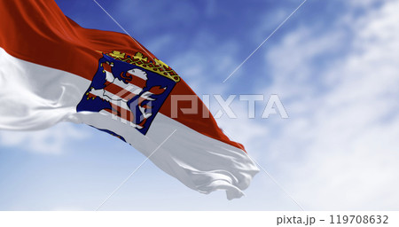 Close-up of the Hesse State flag waving in the wind. 119708632