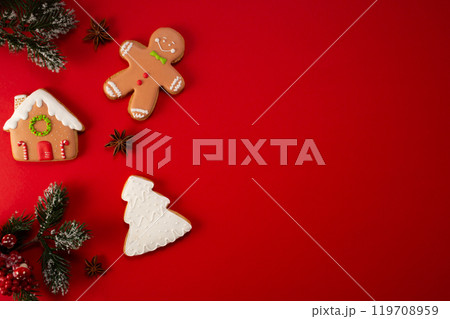 Tasty gingerbread cookies on red background. Flat lay. Copy space 119708959