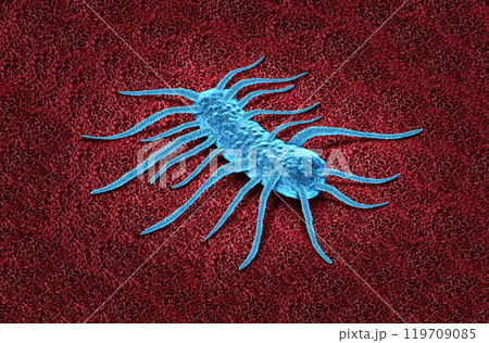 Listeria Symptoms 119709085