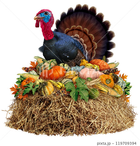 Thanksgiving Harvest Icon 119709394