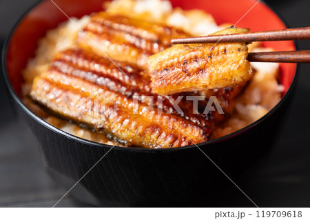 美味しそうな鰻丼イメージ02 美味しそうな鰻丼イメージ02 119709618