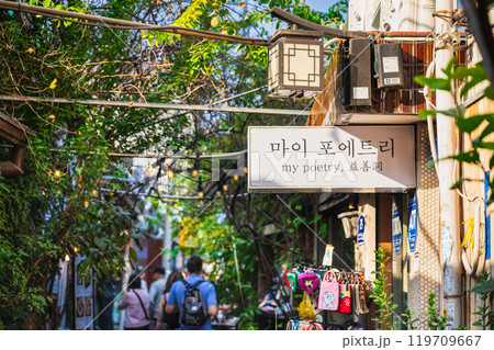 ソウル 韓国伝統家屋が密集する益善洞(イクソンドン) ソウル 韓国伝統家屋が密集する益善洞(イクソンドン) 119709667