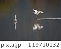 紅葉を映し出す池に白鷺が降り立つ 119710132