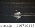 飛び立つ白鷺 119710142