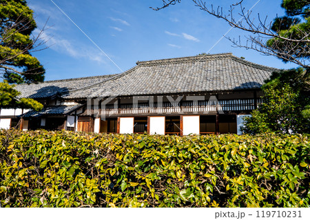 爽やかな青空と瑞々しい新緑に包まれる掛川城二の丸御殿の風景(静岡県) 119710231