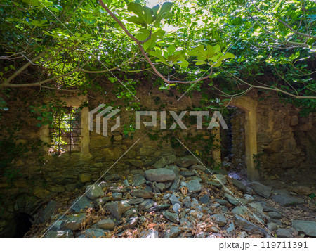 森の中の遺跡 (ギリシャ、クレタ島、リッチティス峡谷) 119711391