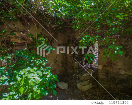 森の中の遺跡の戸口 (ギリシャ、クレタ島、リッチティス峡谷) 119711393