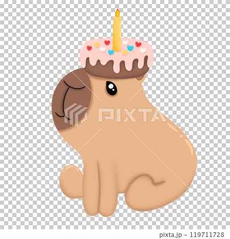 Capybara and birthday cake 119711728