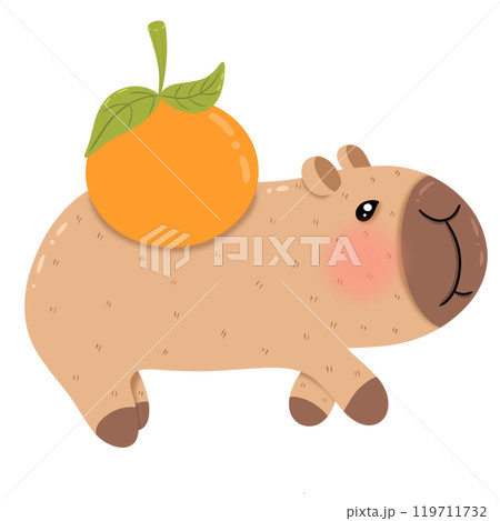 Capybara carries an orange on his back. 119711732
