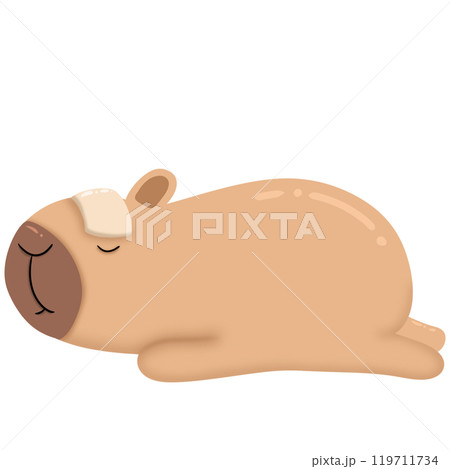 Capybara is not feeling well. Capybara is not feeling well. 119711734
