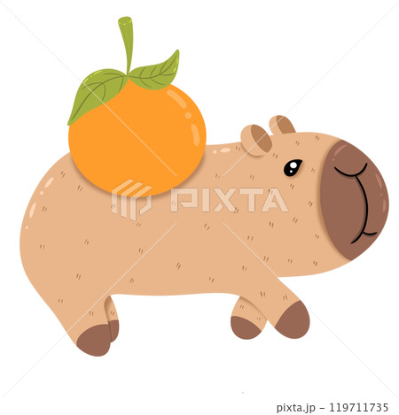 Capybara carries an orange on his back. Capybara carries an orange on his back. 119711735