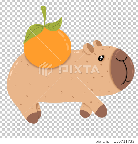 Capybara carries an orange on his back. Capybara carries an orange on his back. 119711735