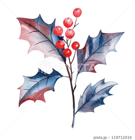 Beautiful abstract branch with berries and leaves. Decoration isolated watercolor botanical illustration, holly leaves 119712010